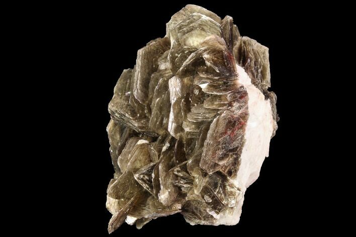 Muscovite & White Albite Crystal Association - Brazil #95576
